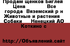 Продам щенков Биглей › Цена ­ 15 000 - Все города, Вяземский р-н Животные и растения » Собаки   . Ненецкий АО,Коткино с.